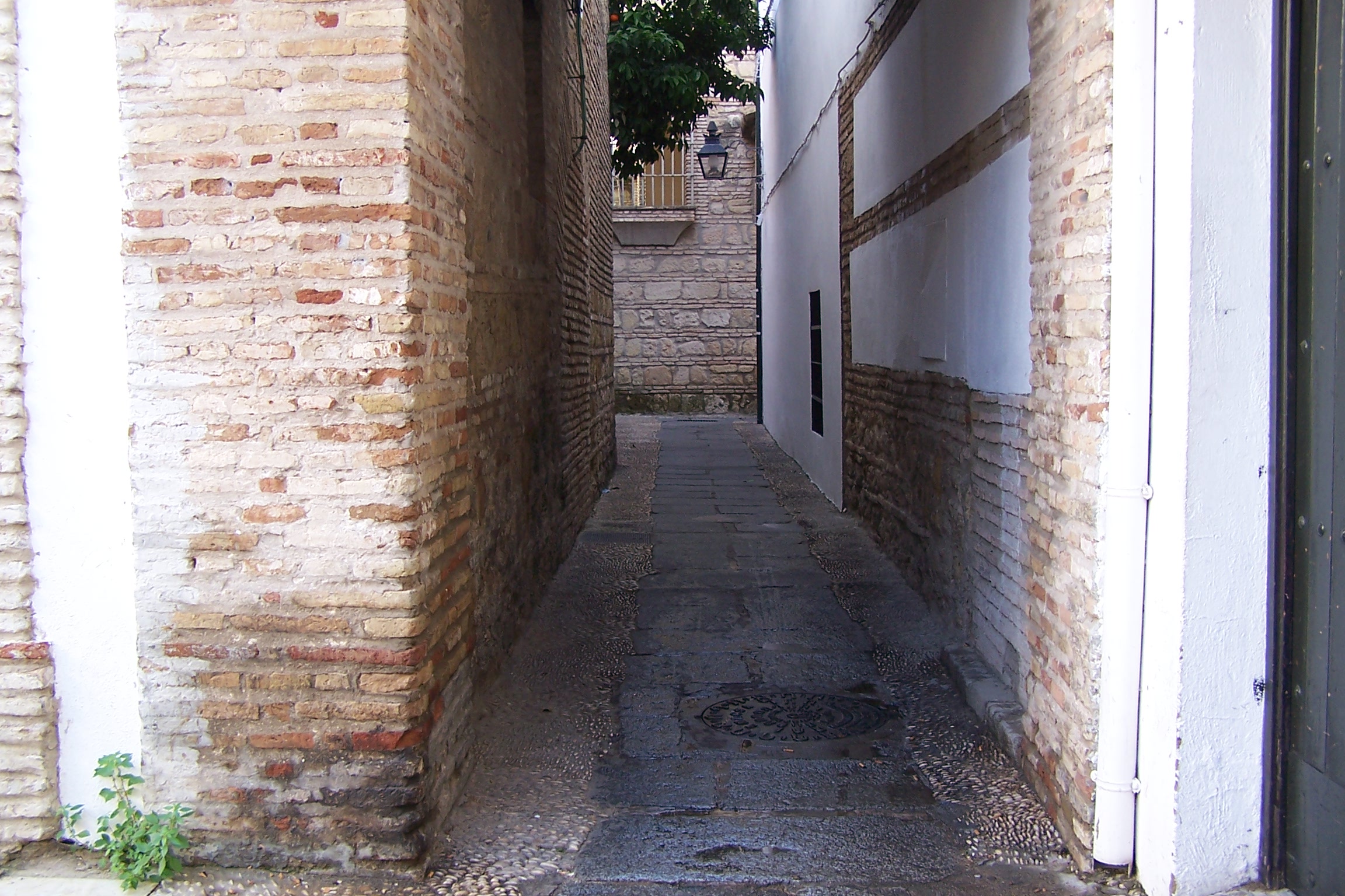 Fotografía calle Luna. Orientación norte.