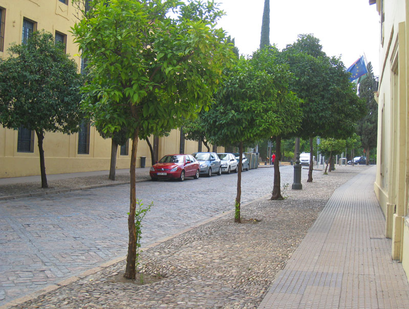 Fotografía calle Amador de los Ríos. Orientación Oeste.