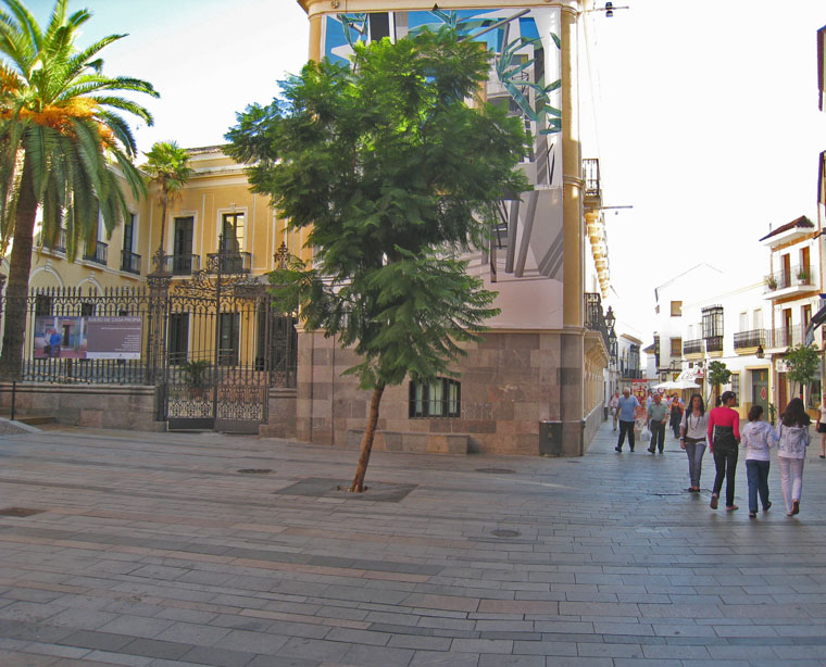 Fotografía Calle Ángel de Saavedra. Orientación Sur. Sala de Exposiciones Vimcorsa.