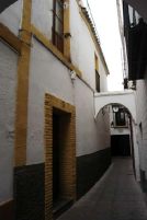 CC_19_053b.jpg (6391 bytes)